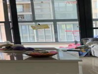 其它图