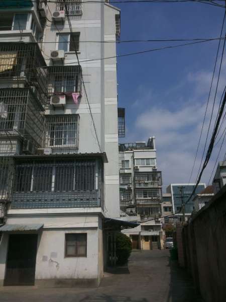 实景图